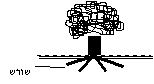 שורש פורה ראש ולענה